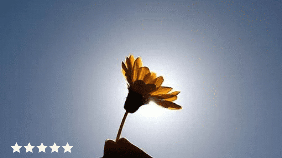 Phoenix Rising: The Strength of Review Recovery