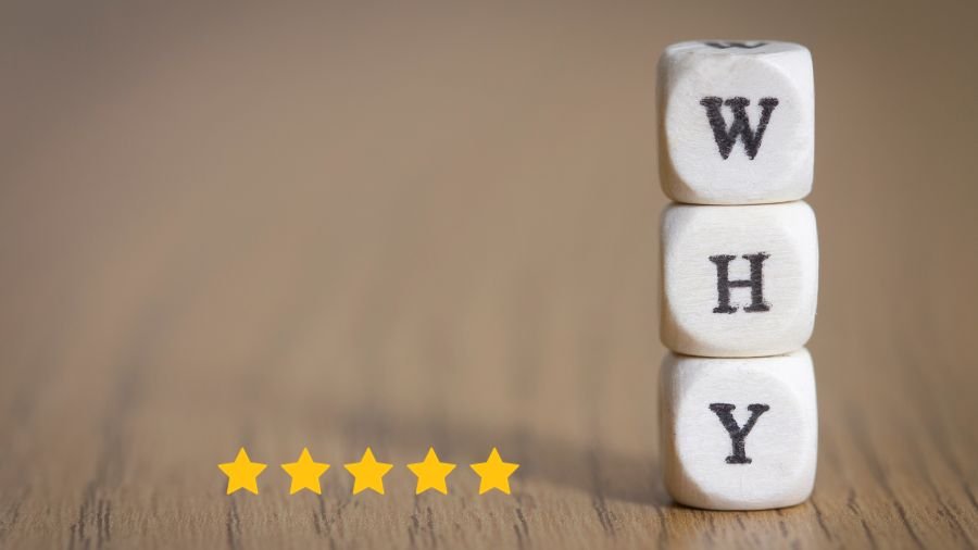 Why Business Reviews Are Your Most Powerful Marketing Tool